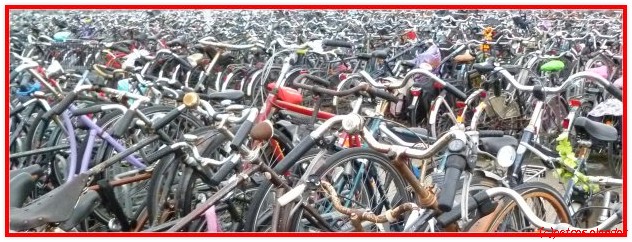 amsterdam_fietsen