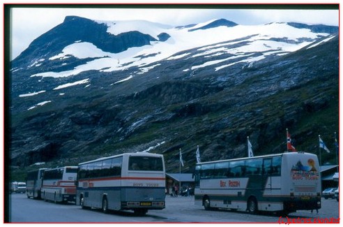 We reden met vier bussen