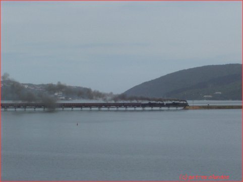 stoomlocomotieven_in_knysna