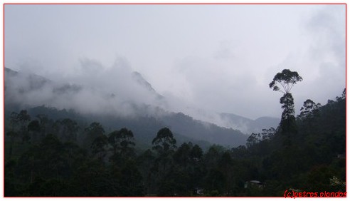 Adamspeak hoogland