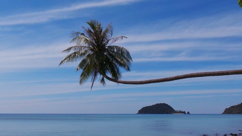 thailand_ko_mak_palm_zee