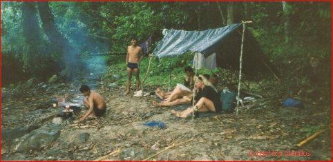 jungle in Atjeh