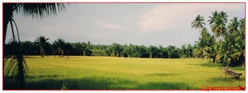 sumatra_samosir
